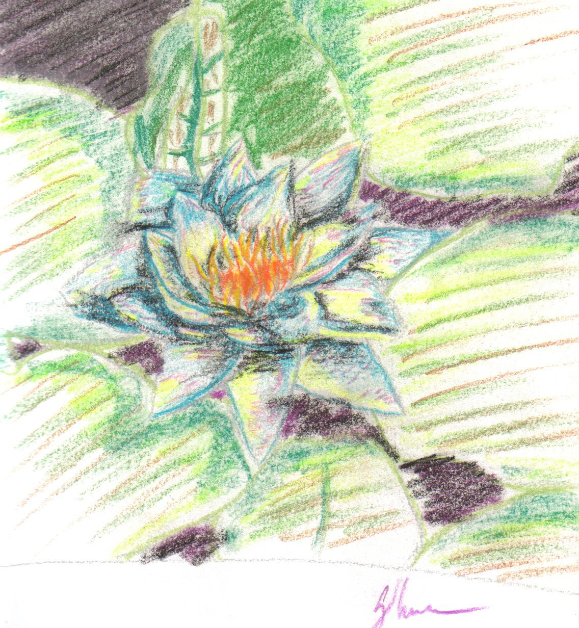 Lily flower by chotakana on