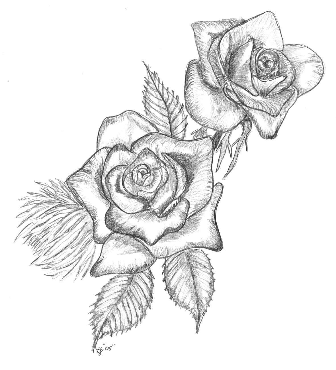 knumathise Realistic Black And White Rose Drawing Images