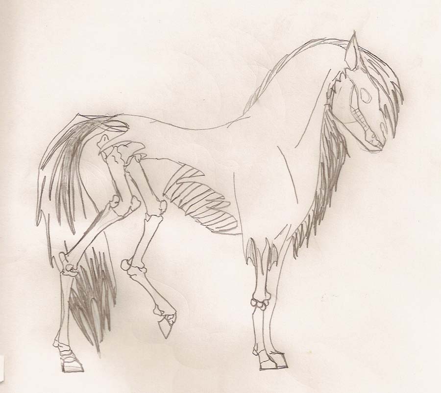 Skeletal Horse tattoo concept1