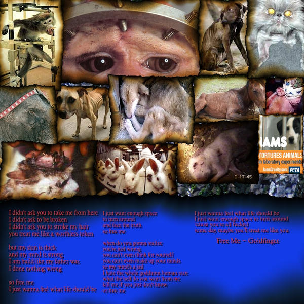 stop animal testing pictures. Help Stop Animal Testing ~