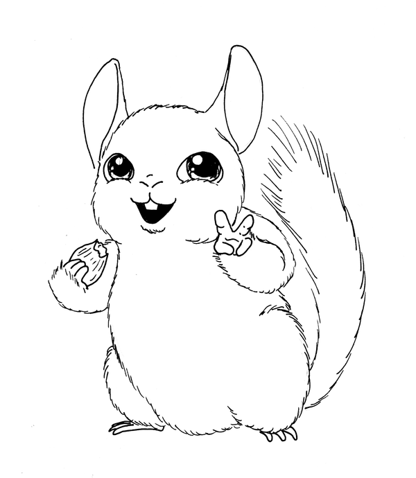 Chinchilla Coloring Pages To Print Coloring Pages
