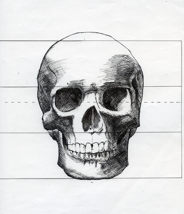 Skull drawing front view by GFreeman200 on deviantART