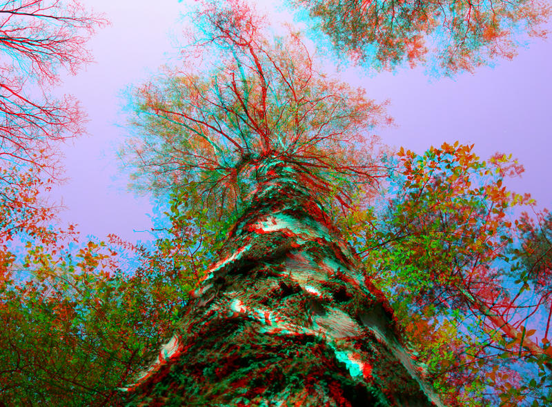 Growing 3D Anaglyph by yellowishhaze on deviantART