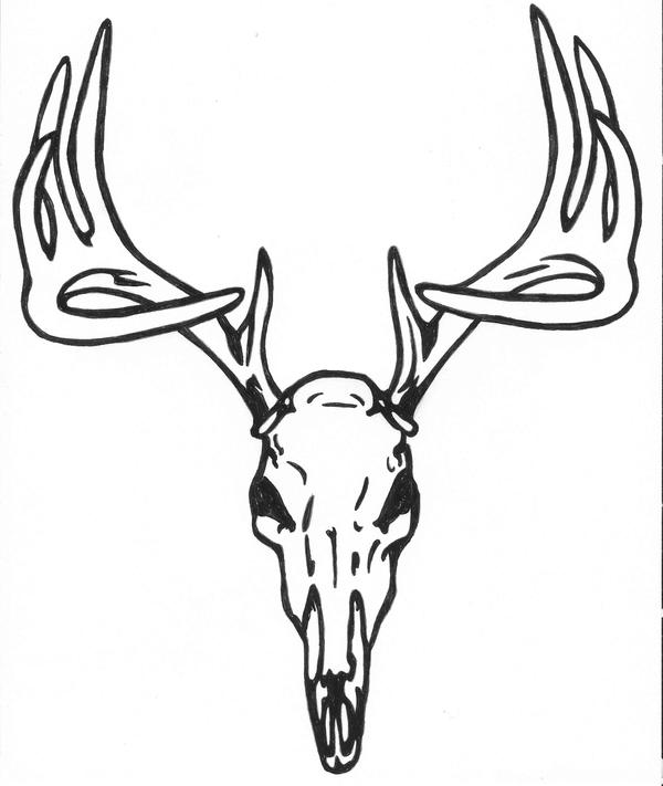 bull skull tattoo. Deer Skull Tattoo by