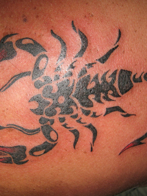 tribal scorpion by Zillahblack on deviantART