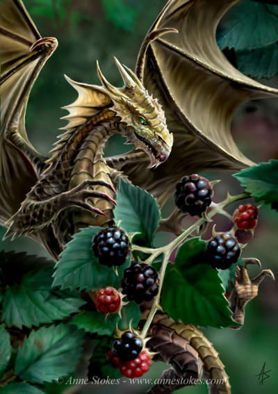 Blackberry_dragon_by_Ironshod.jpg