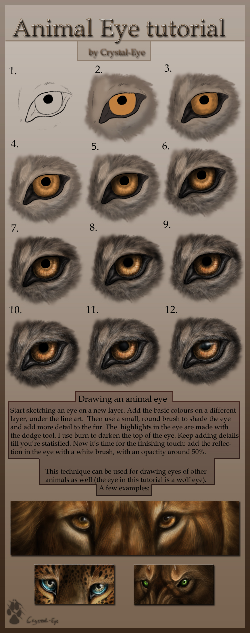 http://fc09.deviantart.net/fs37/f/2008/250/6/9/Animal_Eye_tutorial_by_Crystal_Eye.jpg