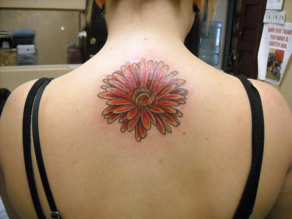 Gerbera+daisy+tattoo+ideas
