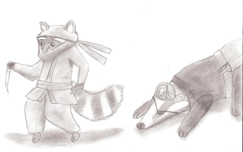 Badger Vs Raccoon