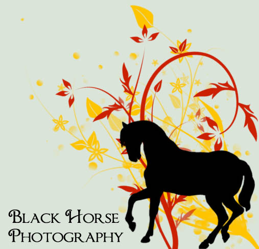 wallpaper of friesian horse. Current Residence: Indiana; Interests: horses, friesians, crafts.