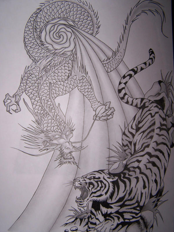 tiger dragon tattoo. Tiger and Dragon tattoo by