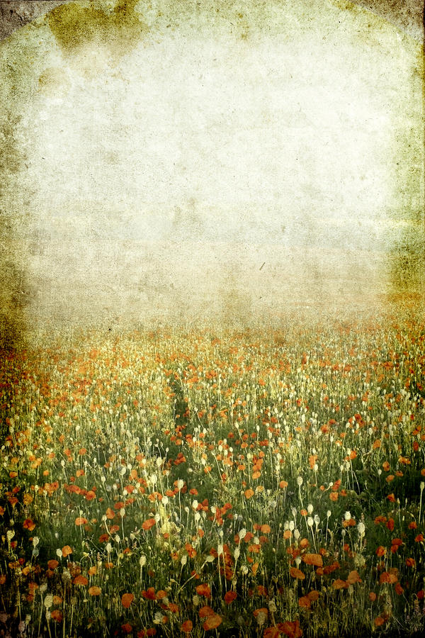 background texture images. Summer ackground texture by