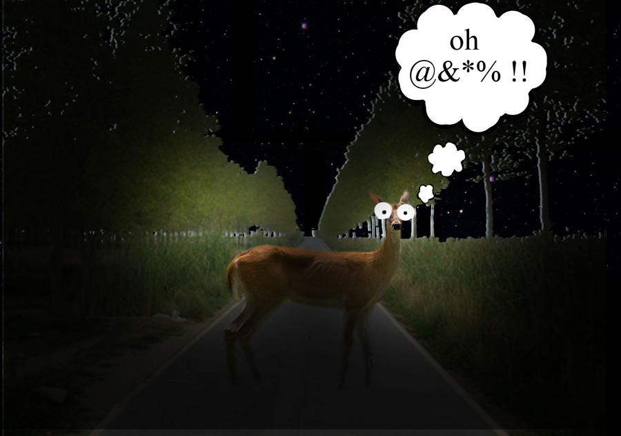 free clip art deer in headlights - photo #15