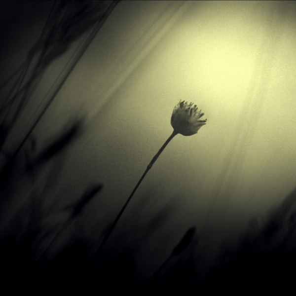  darkest dream by =mr-twingo