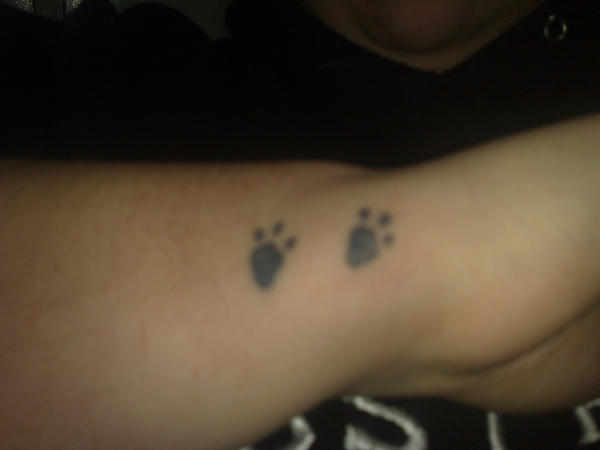 cheetah print tattoos. Are those paw print tattoo