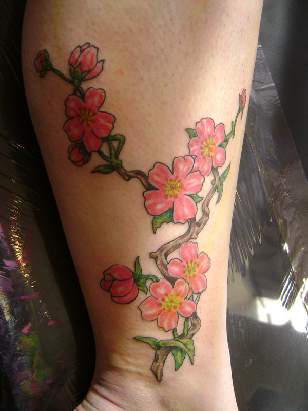 cherry tree branch. cherry tree branch tattoo.