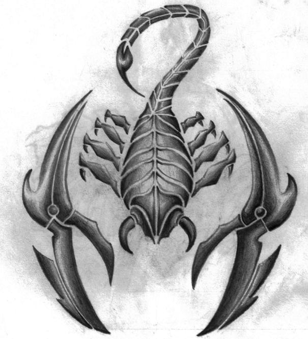 Scorpion Traditional Tattoos