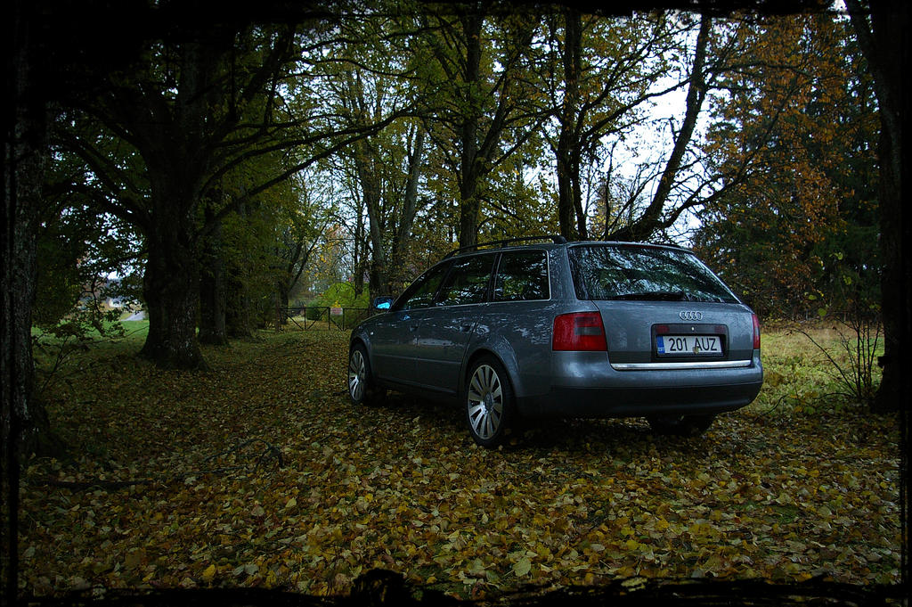 Audi_A6_2_5TDI_avant_by_ShadowPhotography.jpg