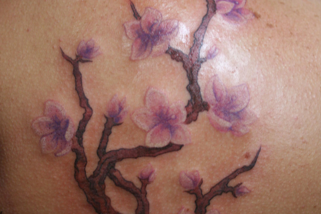 Cherry Blossoms - shoulder tattoo