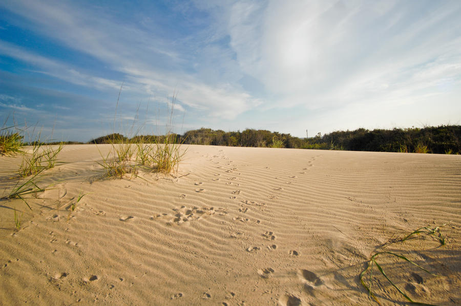 beach sand dunes. Beach Sand Dunes sky stock by