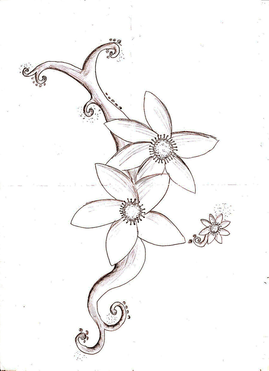 flower sketch by louisevalerie traditional art drawings other 2009 