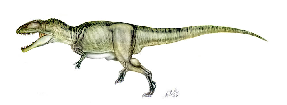 Giganotosaurus_carolinensis_by_unlobogris.jpg