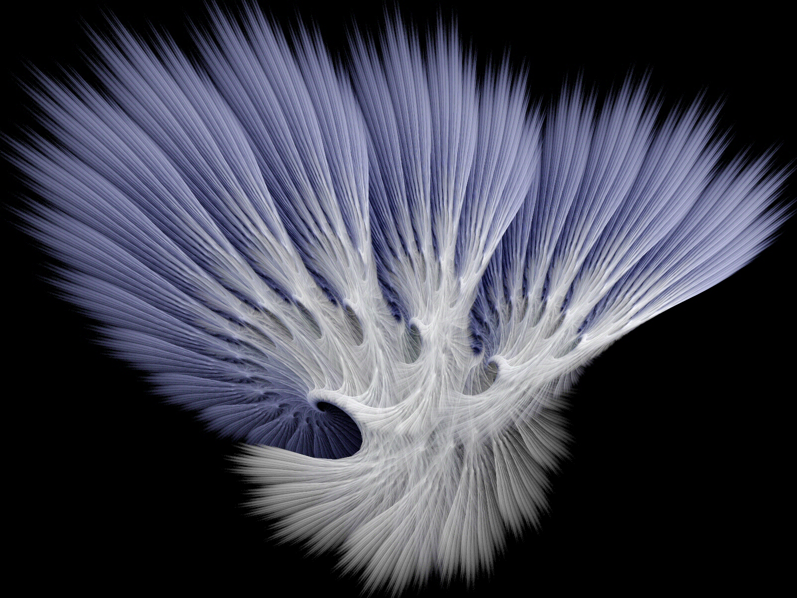 Soft_Lilac_Feathers_by_Thelma1.jpg