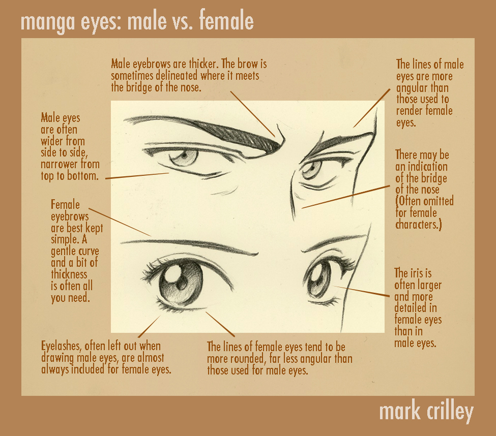 Copy Of Manga How To Draw Faces - Lessons - Blendspace