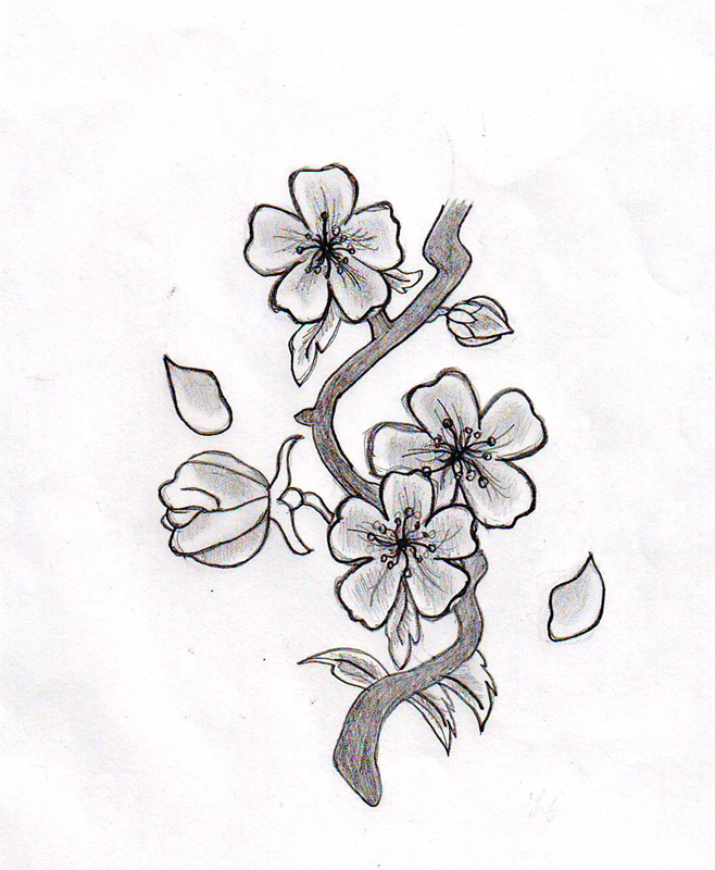 Cherry Blossom Flower by HelloKitten20 on deviantART
