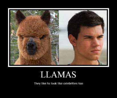 Funny_llama_poster_by_Luckypanic.jpg