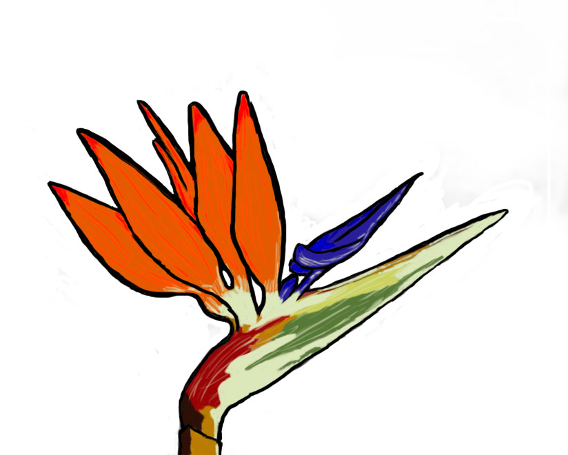 Bird Of Paradise | Flower Tattoo