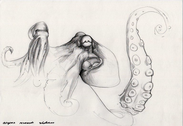 octopus_sketches_by_icecoldart-d34ngky.jpg
