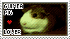 guinea_pig_lover__stamp__by_circe_baka-d34qwr2.gif