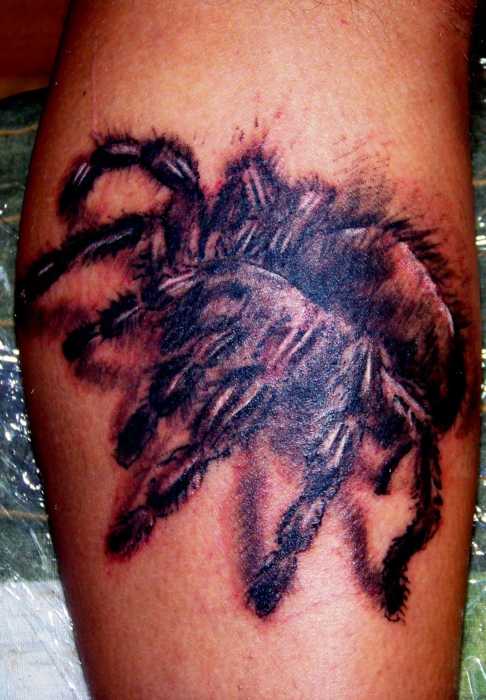 tattoo spider. tattoo spider