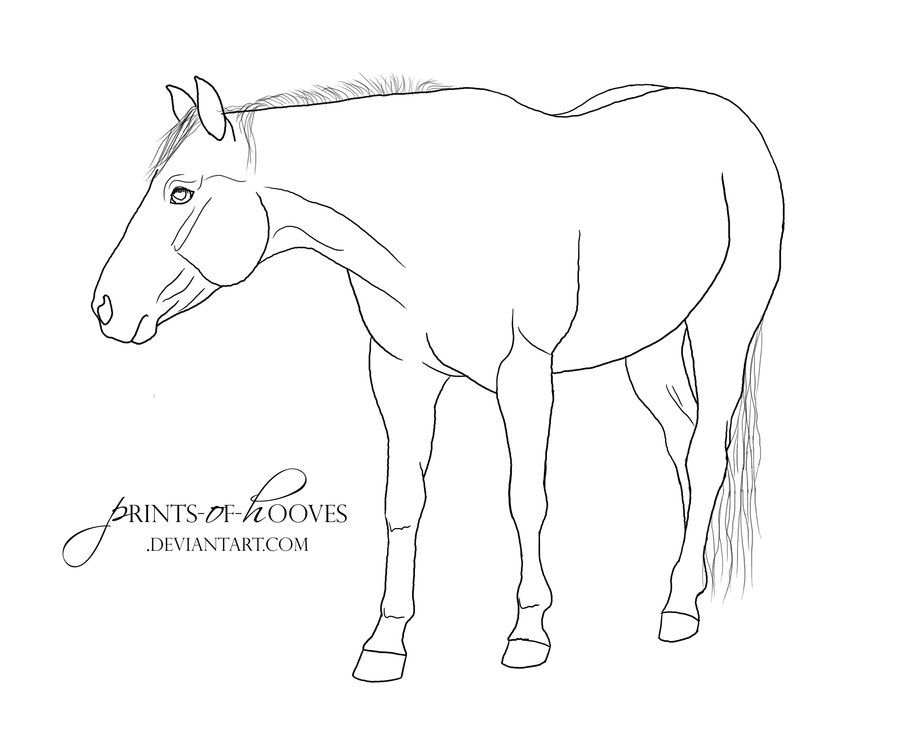 quarter horse coloring pages - photo #17