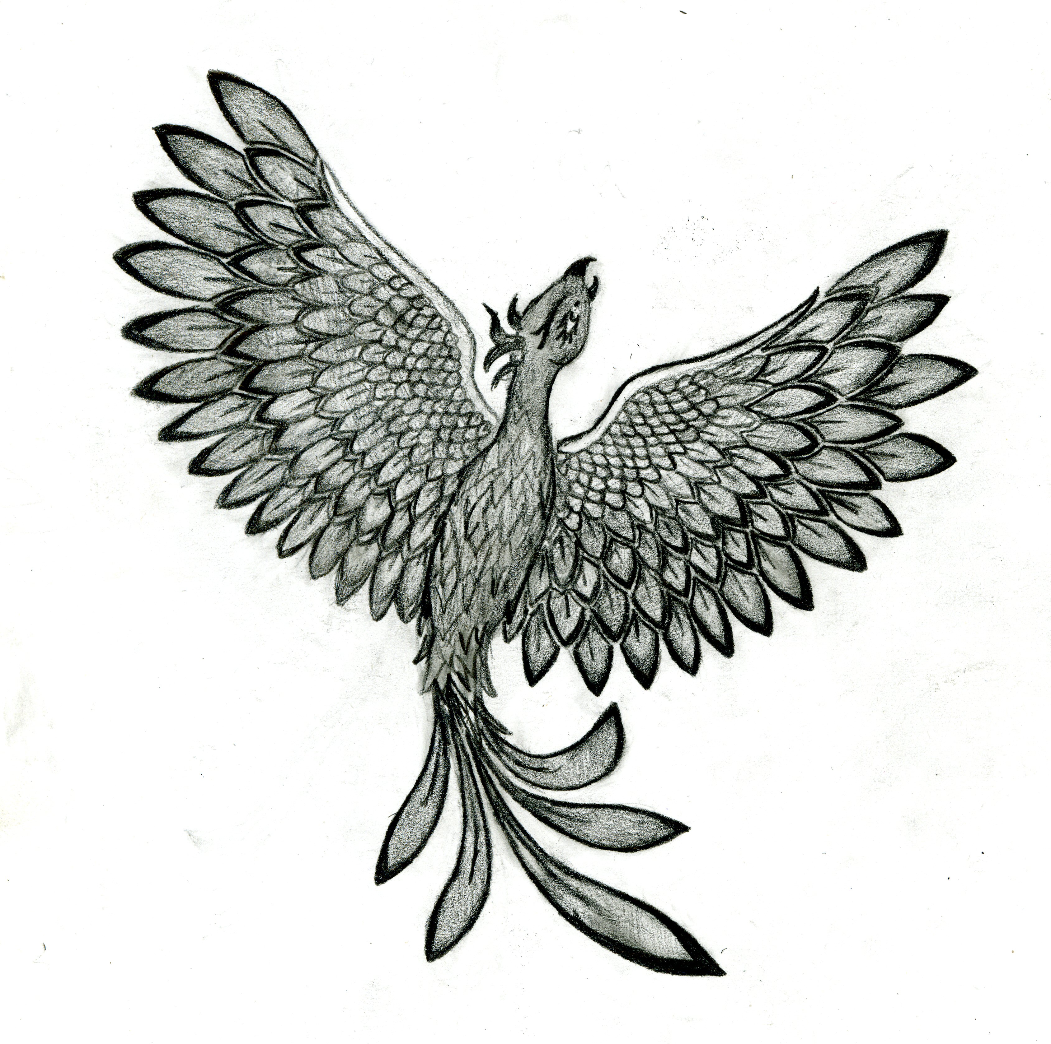 Phoenix tattoo by