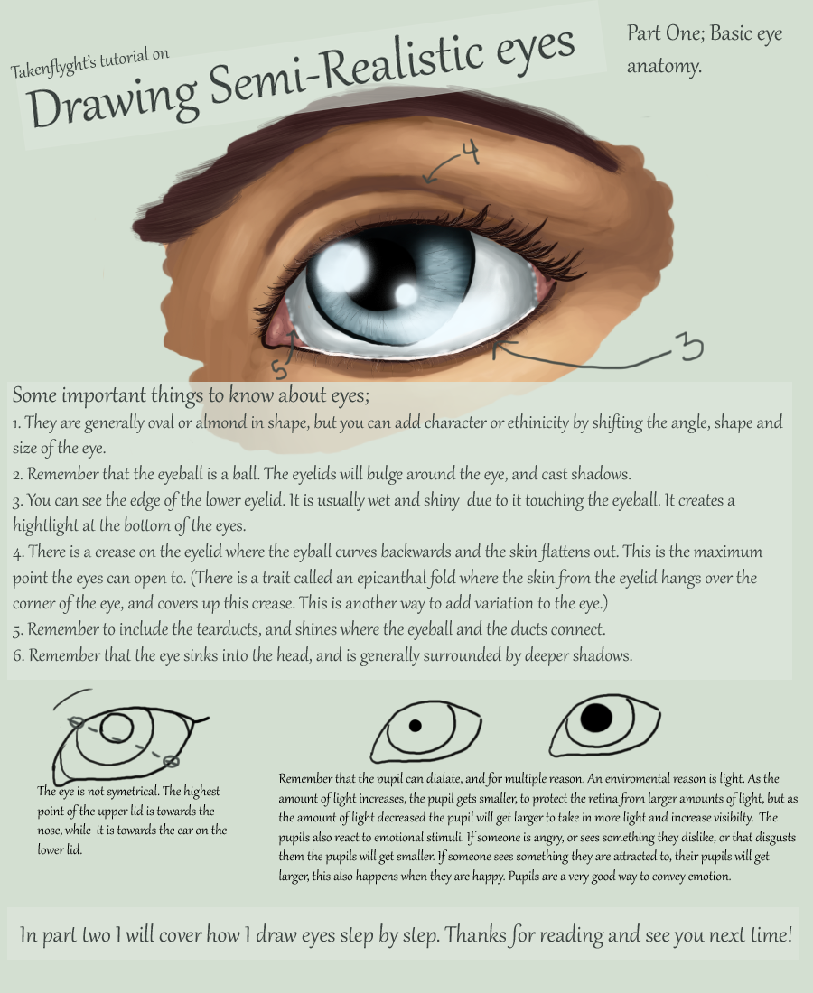 eyes_part_1___basic_anatomy_by_takenflyght-d3ky9bl