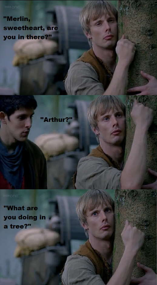 what_are_you_doing_in_a_tree___merthur_b