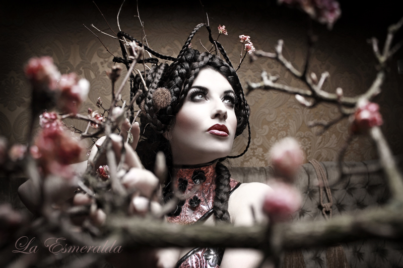 blossom_by_la_esmeralda-d4s4sf0