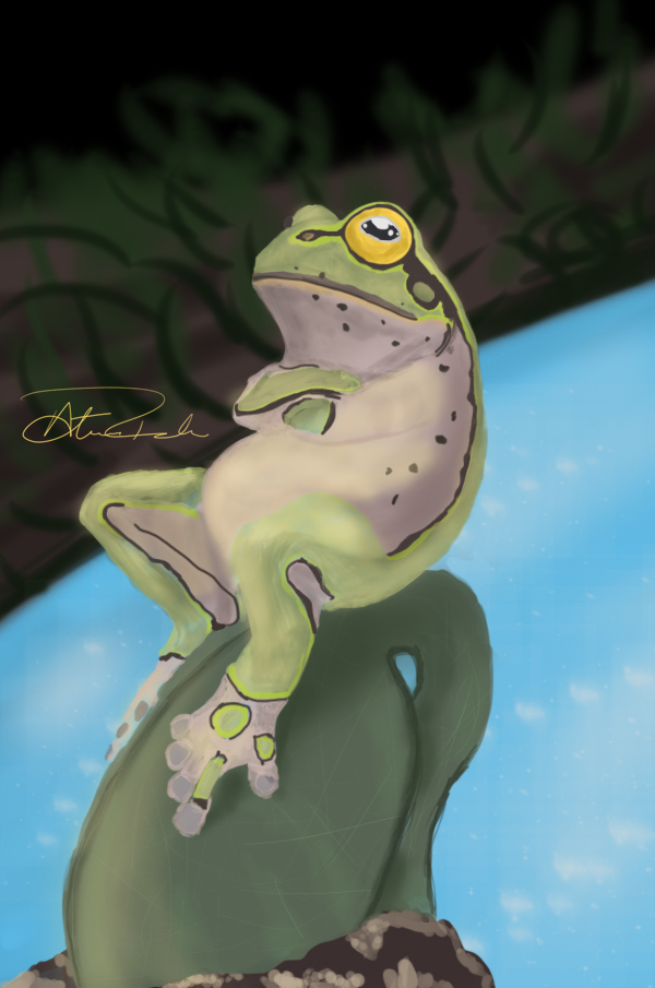 Frog Ass 60