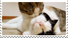 animals_cat_kisses_stamp_by_twilightprow