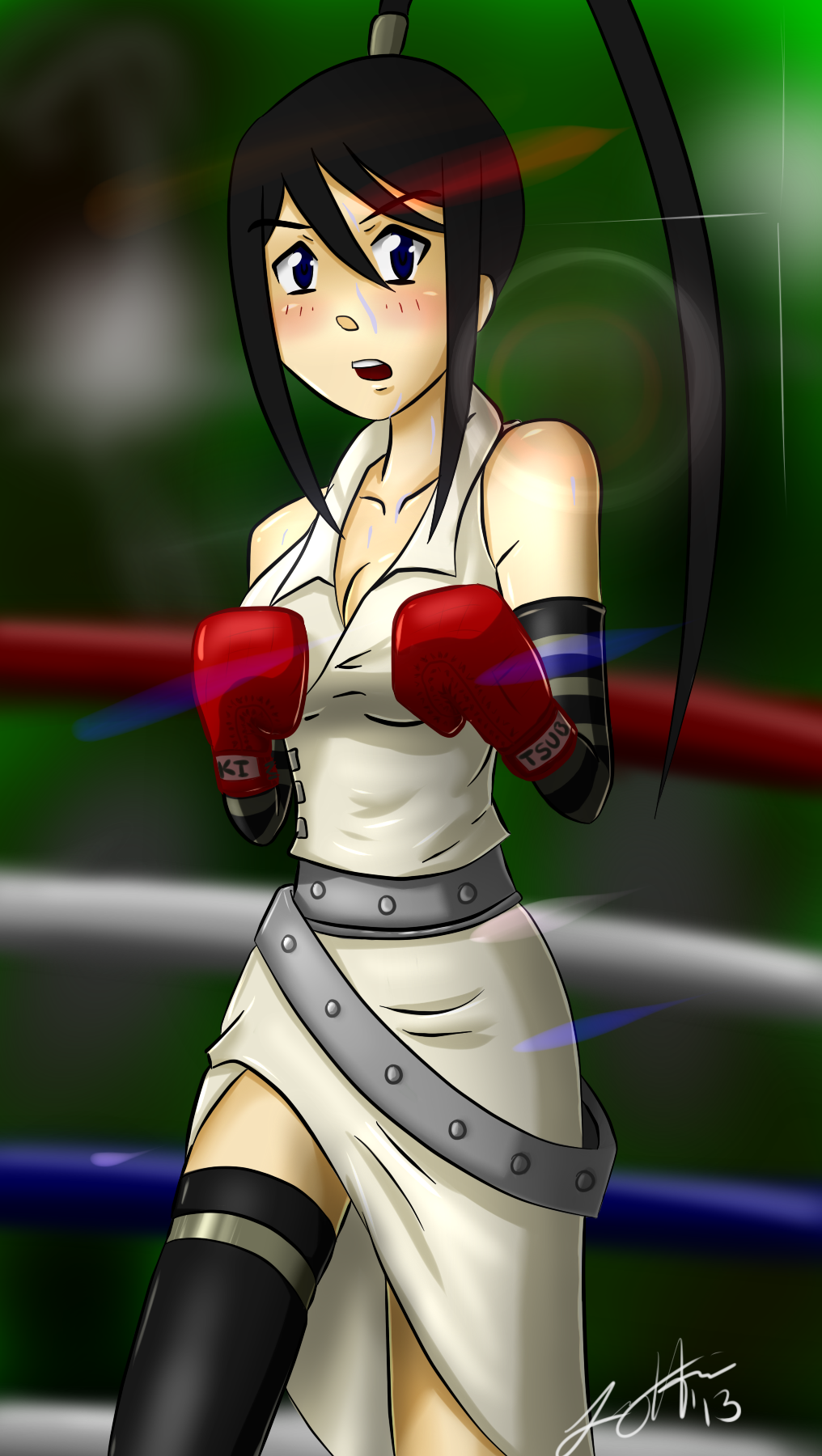tsubaki_the_boxer_by_deejayx-d6fqweq.png