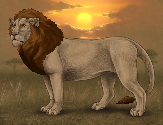 liger_mane_example_by_beany123-d86c9z5.p