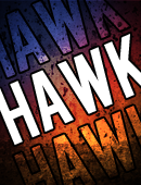 hawk_by_mefism-d8gw2sn.png