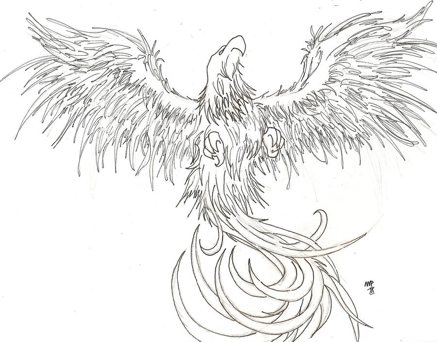 Phoenix Sketch By Black Toad On DeviantART 900x706px phoenix tattoo flash