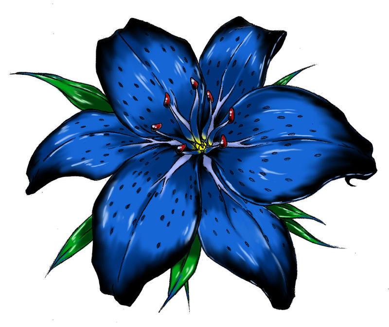 tiger lily clipart - photo #32