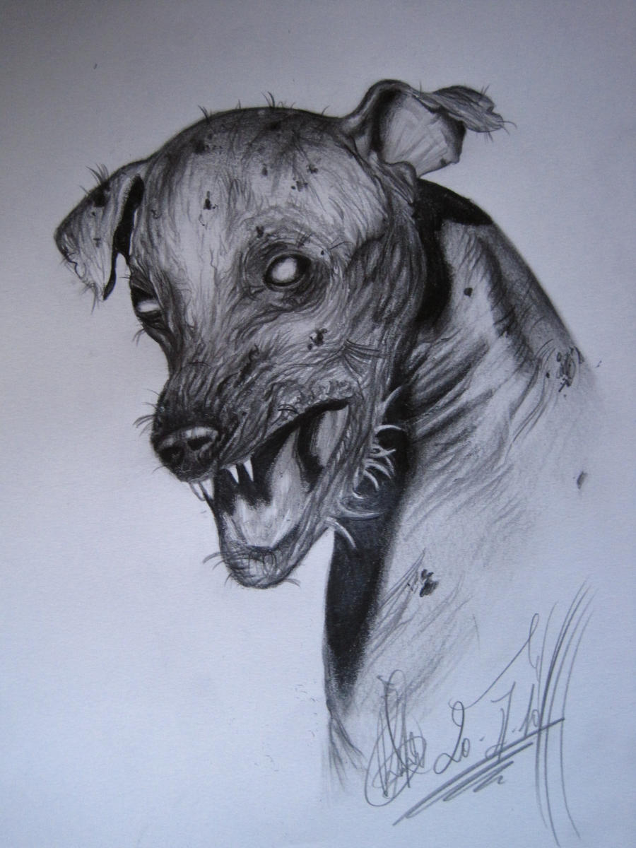 zombie dog....... by RGarabal on DeviantArt
