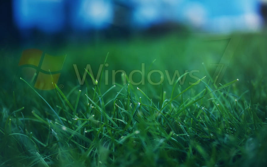 windows wallpaper hd. Wallpaper HD Windows 7 by