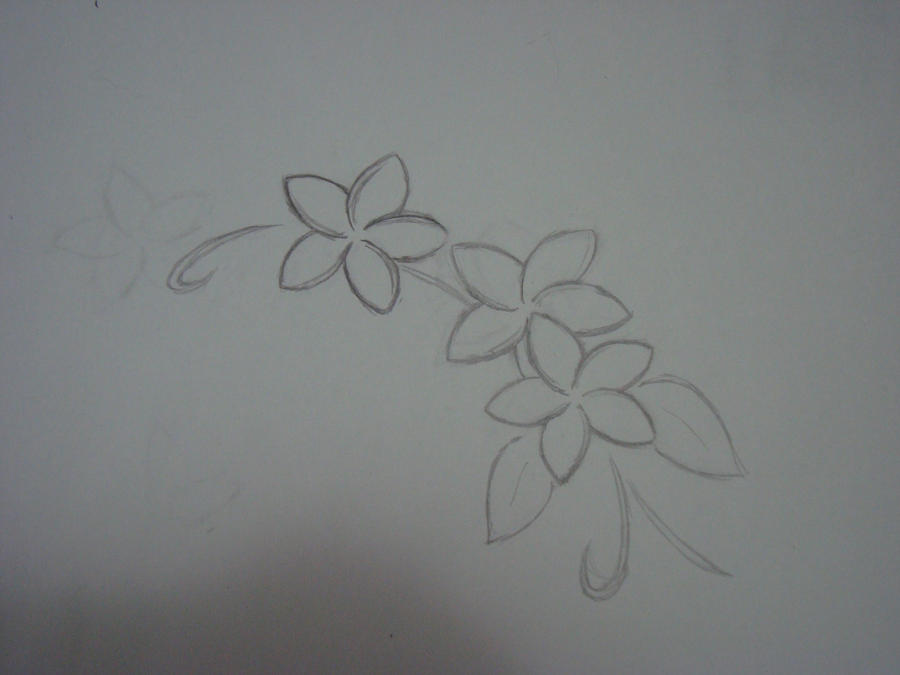 (Sketch of a Plumeria Tattoo by ~BlueBerry25Blossom on deviantART)