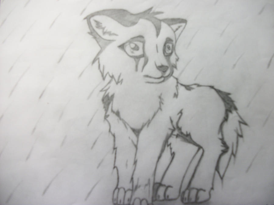 Anime Wolf- Wolf Pack crying wolf in rain by ~Wolfy1278 on deviantART